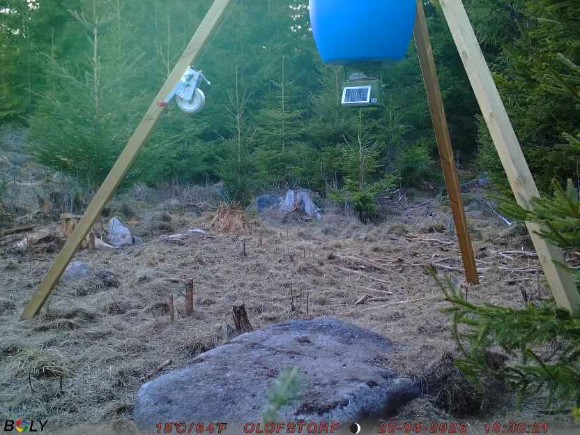 Bild från STORATRÄA
