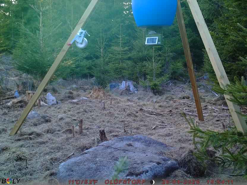 Bild från STORATRÄA