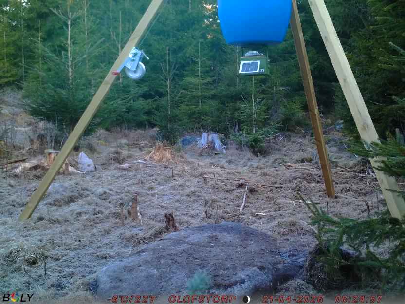 Bild från STORATRÄA