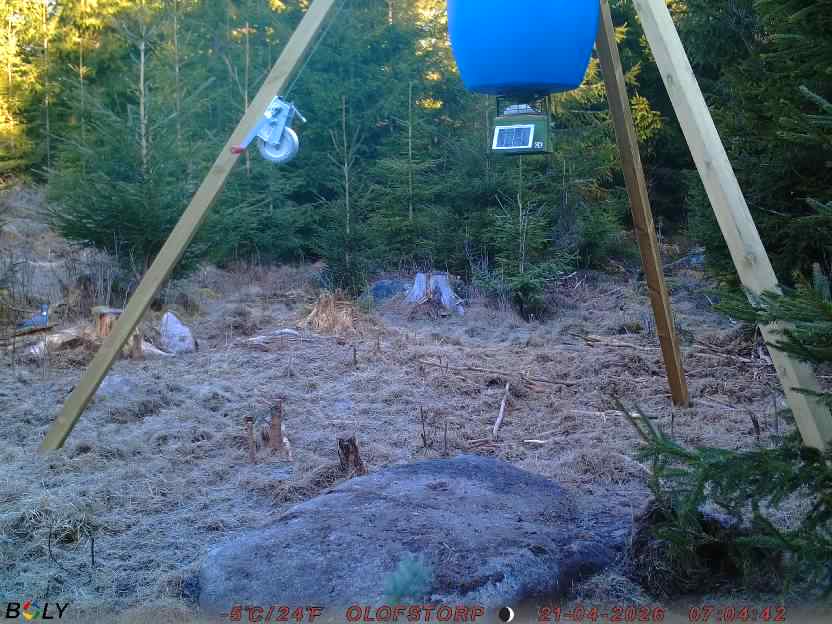 Bild från STORATRÄA