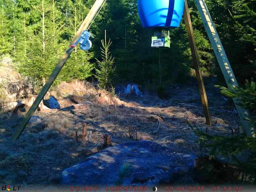Bild från STORATRÄA