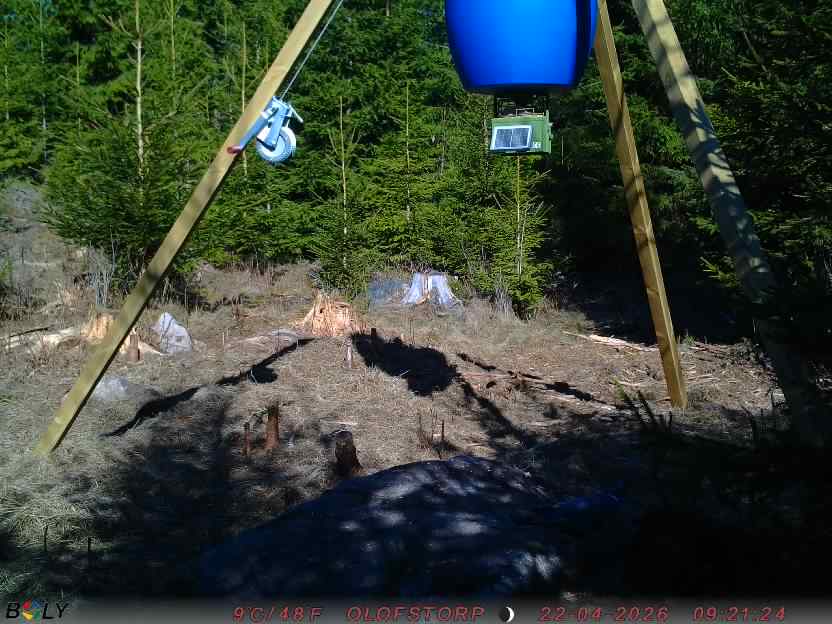 Bild från STORATRÄA