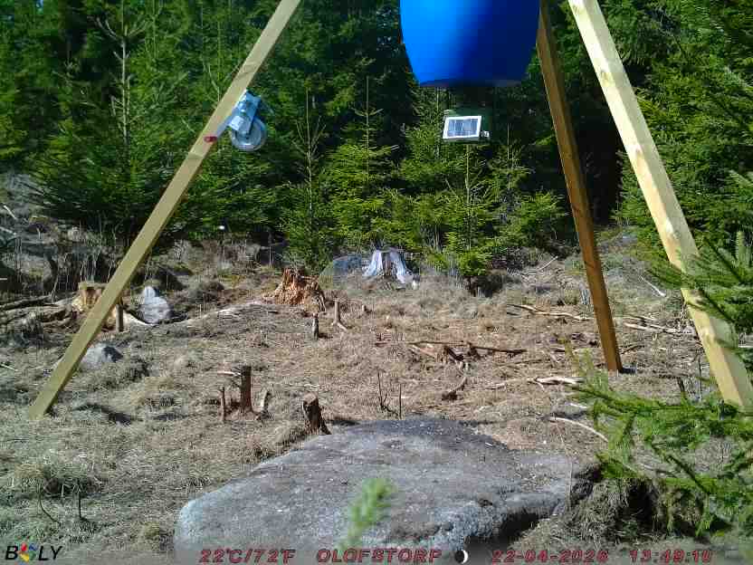 Bild från STORATRÄA