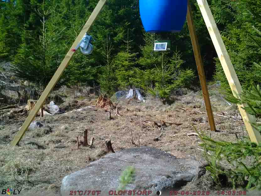 Bild från STORATRÄA