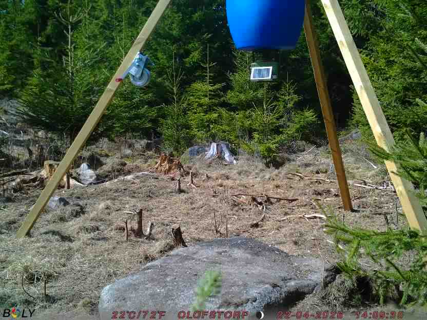 Bild från STORATRÄA