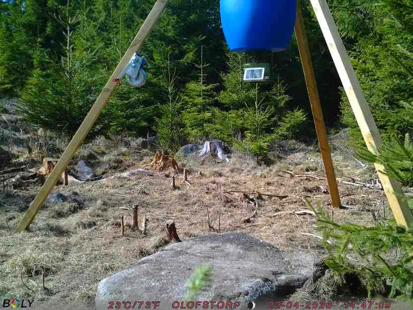 Bild från STORATRÄA