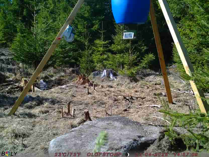 Bild från STORATRÄA