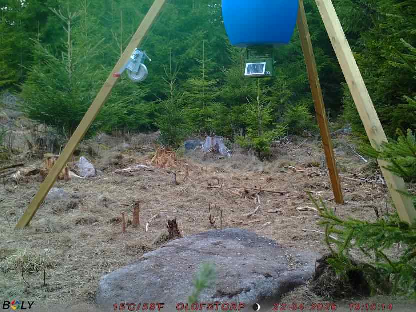 Bild från STORATRÄA