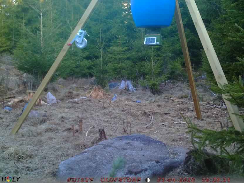 Bild från STORATRÄA