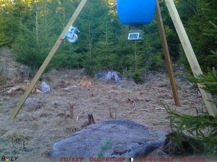 Bild från STORATRÄA