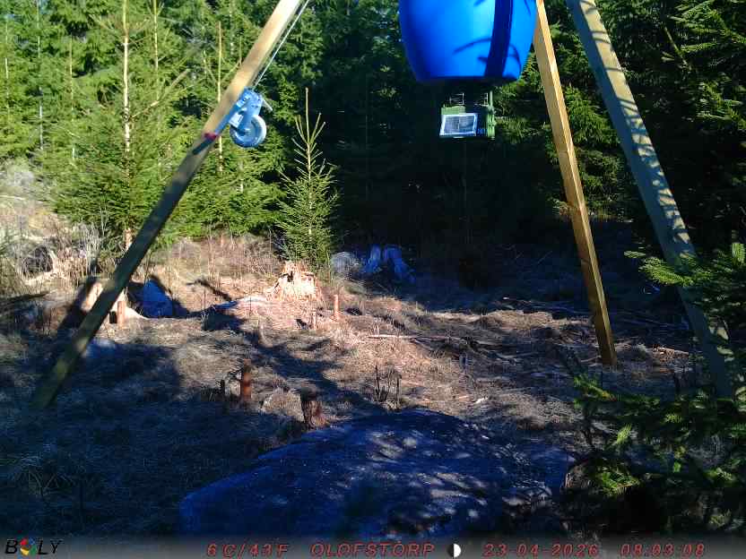 Bild från STORATRÄA
