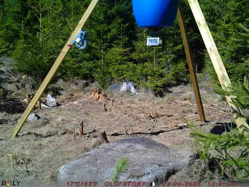 Bild från STORATRÄA