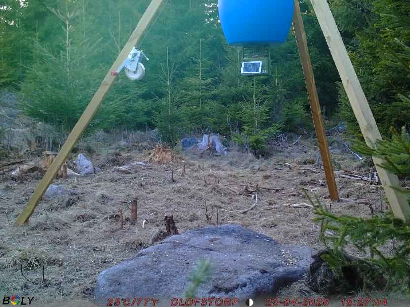 Bild från STORATRÄA