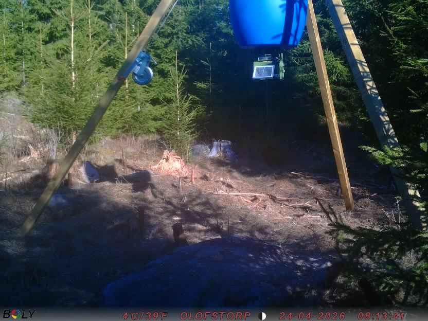 Bild från STORATRÄA