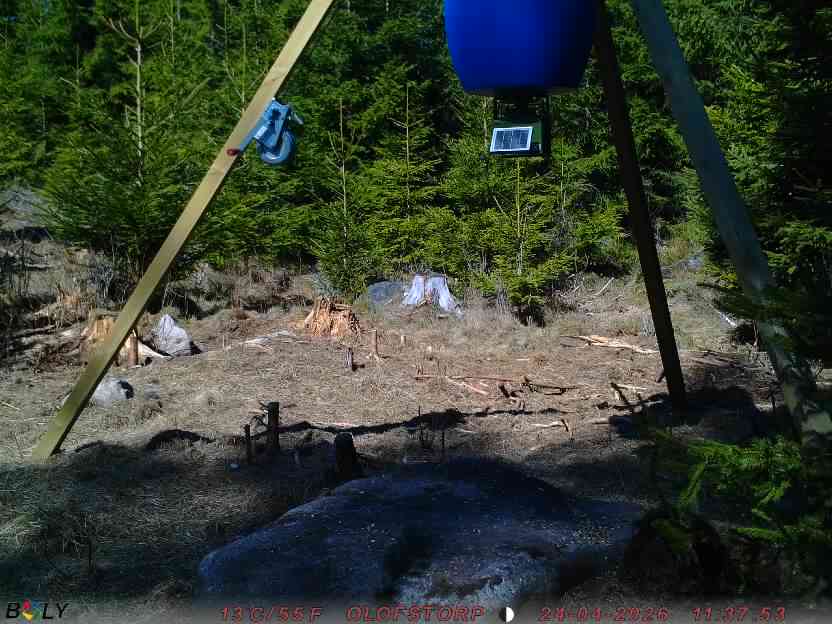 Bild från STORATRÄA