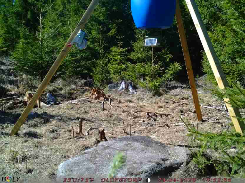 Bild från STORATRÄA