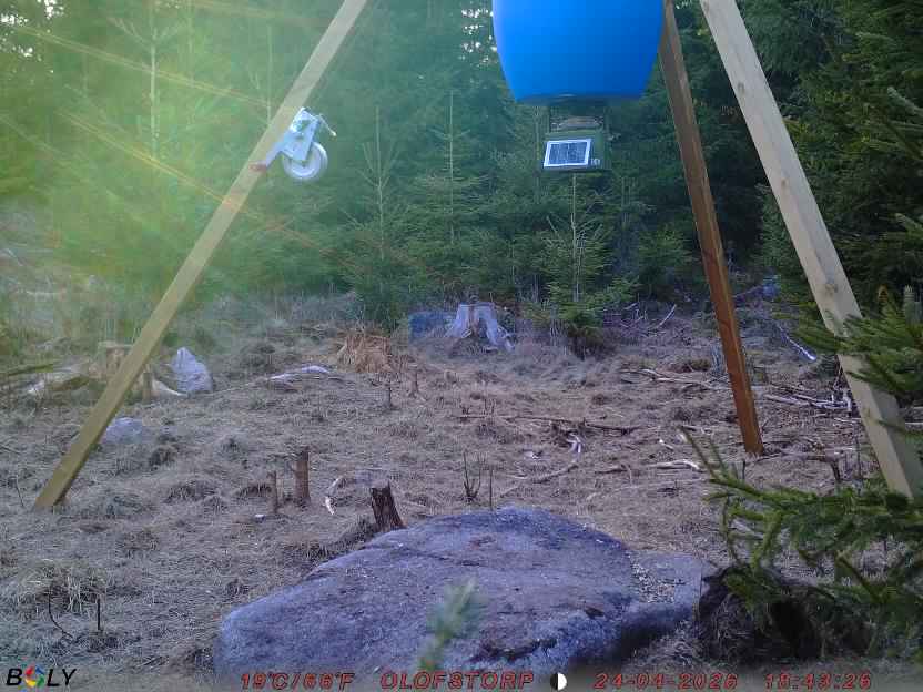 Bild från STORATRÄA