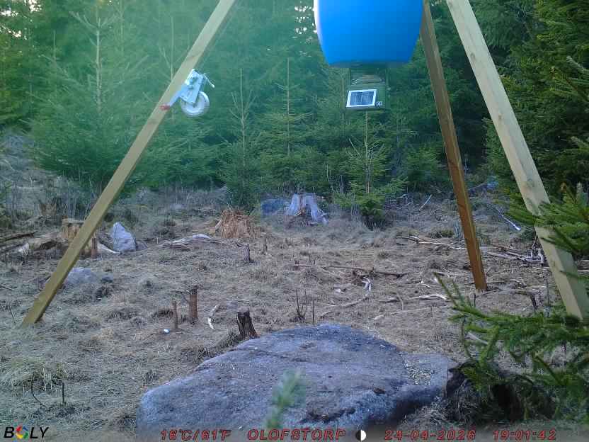 Bild från STORATRÄA