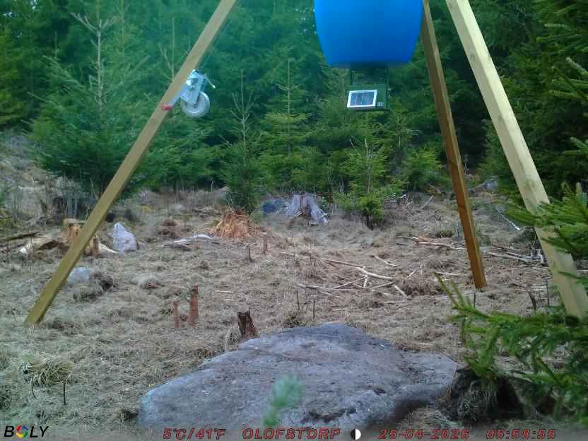 Bild från STORATRÄA