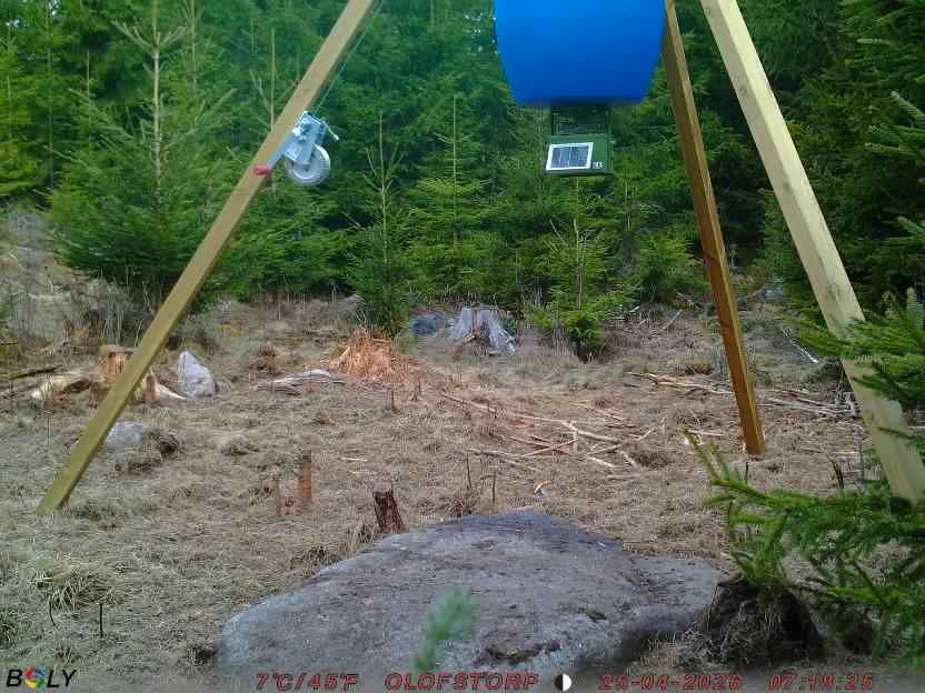 Bild från STORATRÄA