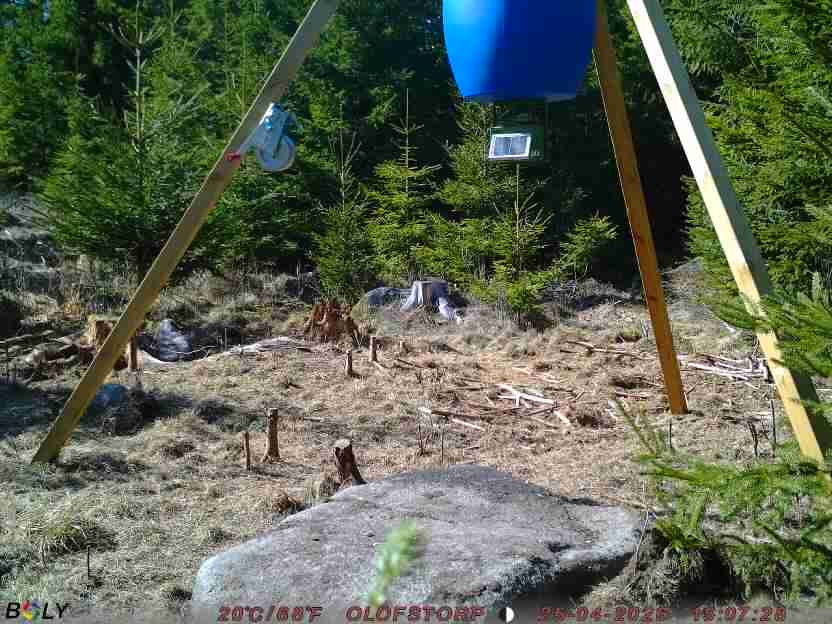 Bild från STORATRÄA