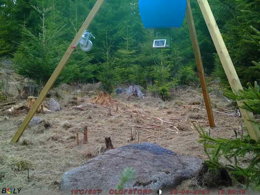 Bild från STORATRÄA