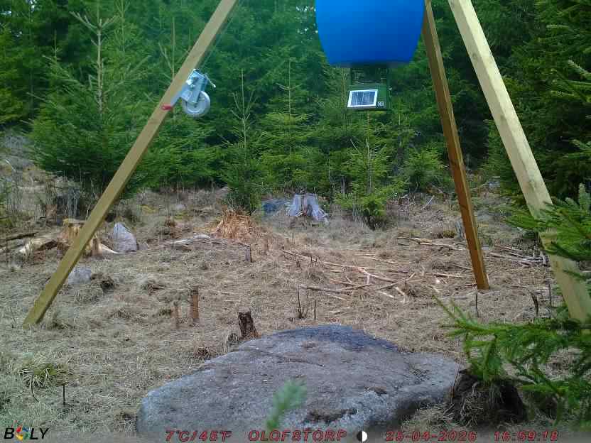 Bild från STORATRÄA