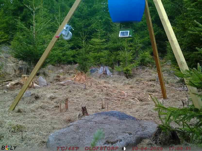 Bild från STORATRÄA