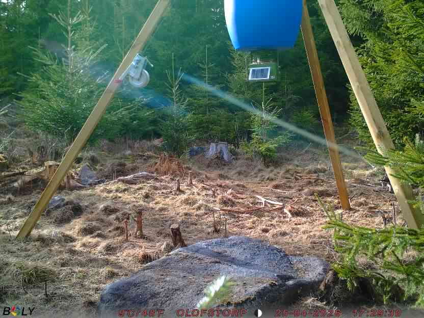 Bild från STORATRÄA