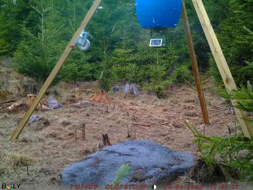 Bild från STORATRÄA