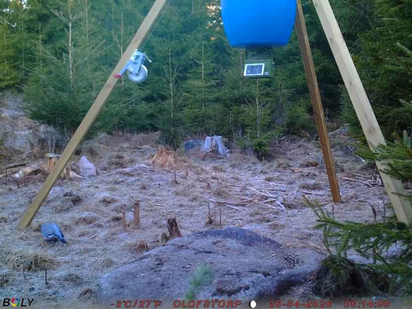 Bild från STORATRÄA