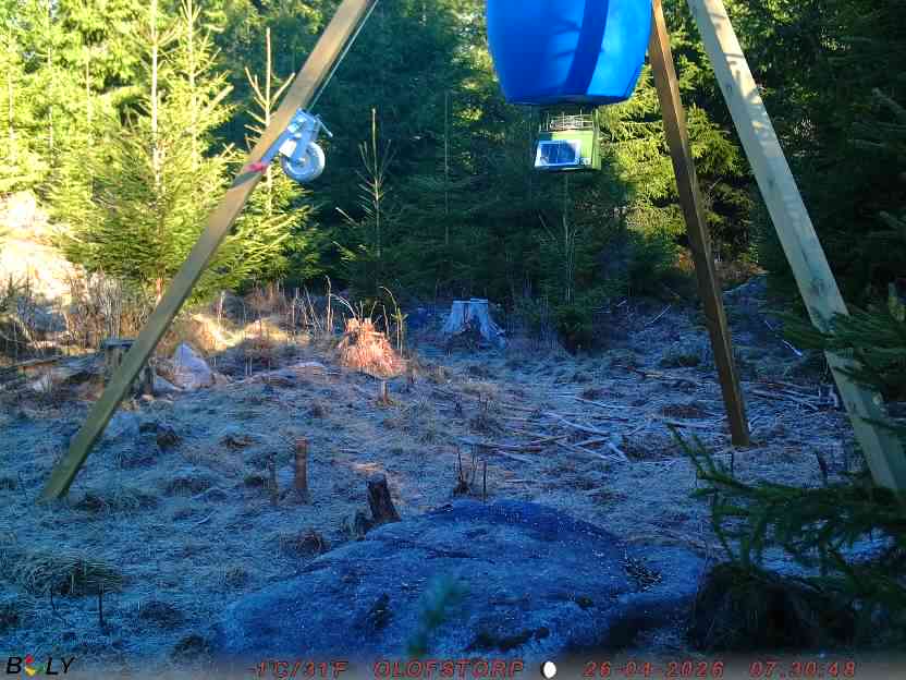 Bild från STORATRÄA