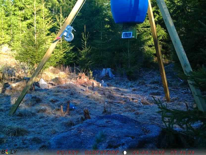 Bild från STORATRÄA