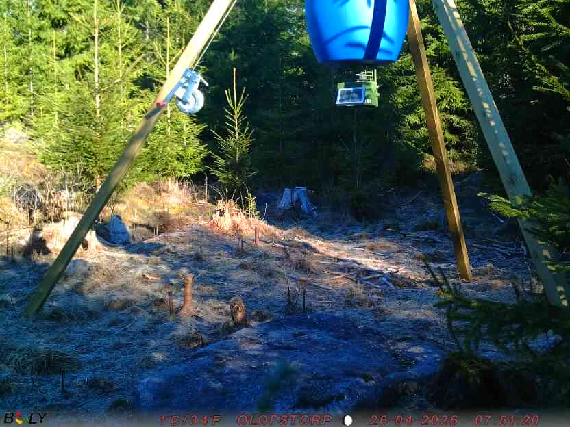 Bild från STORATRÄA