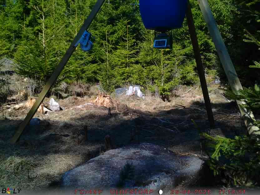 Bild från STORATRÄA