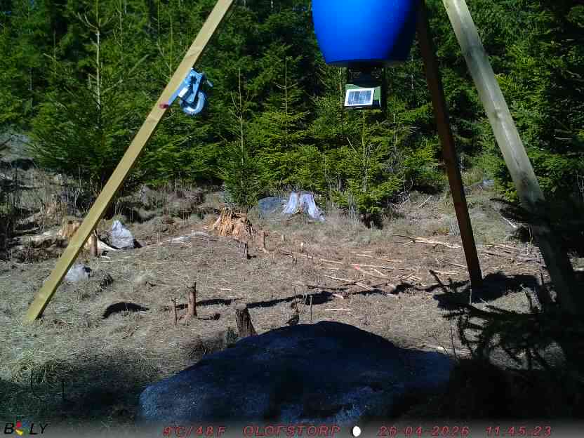 Bild från STORATRÄA