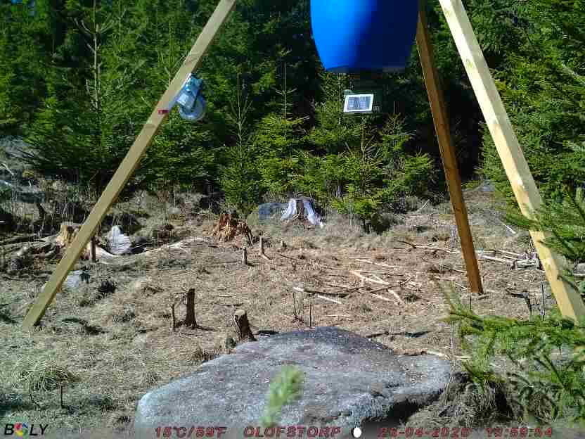 Bild från STORATRÄA