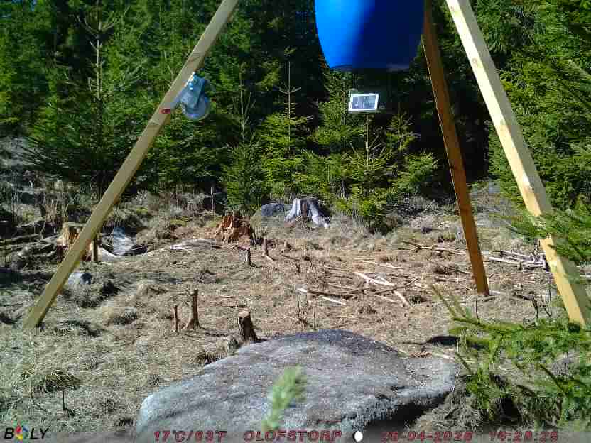 Bild från STORATRÄA