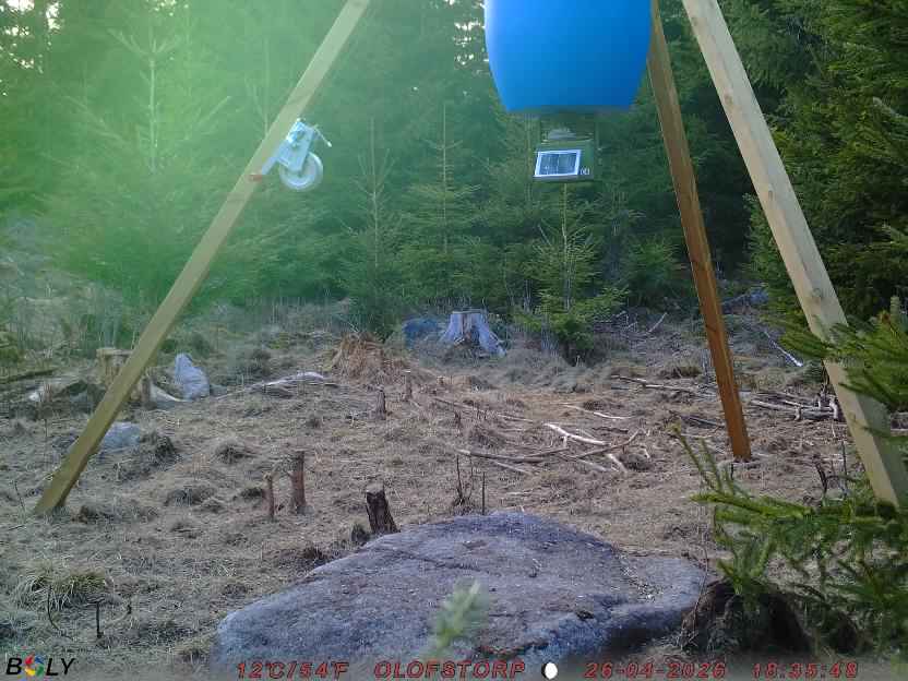 Bild från STORATRÄA