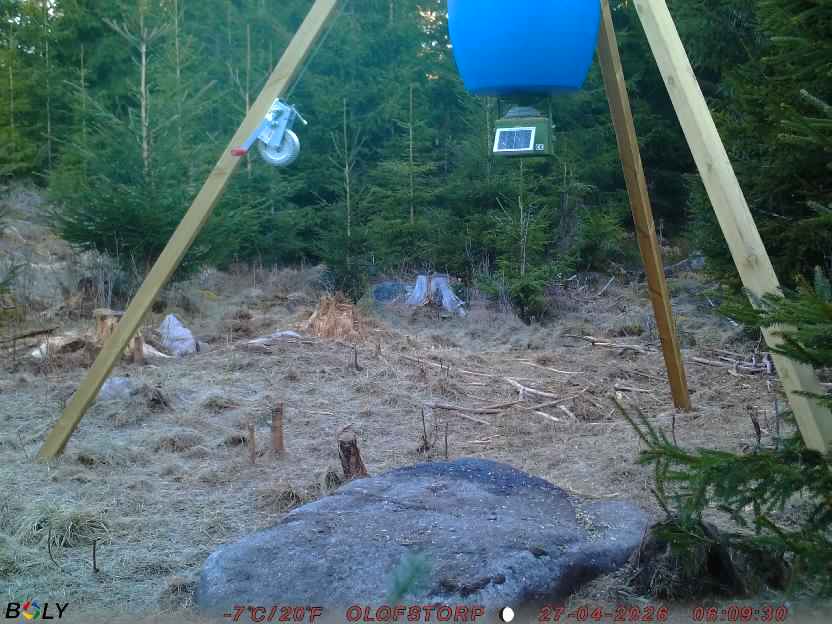 Bild från STORATRÄA