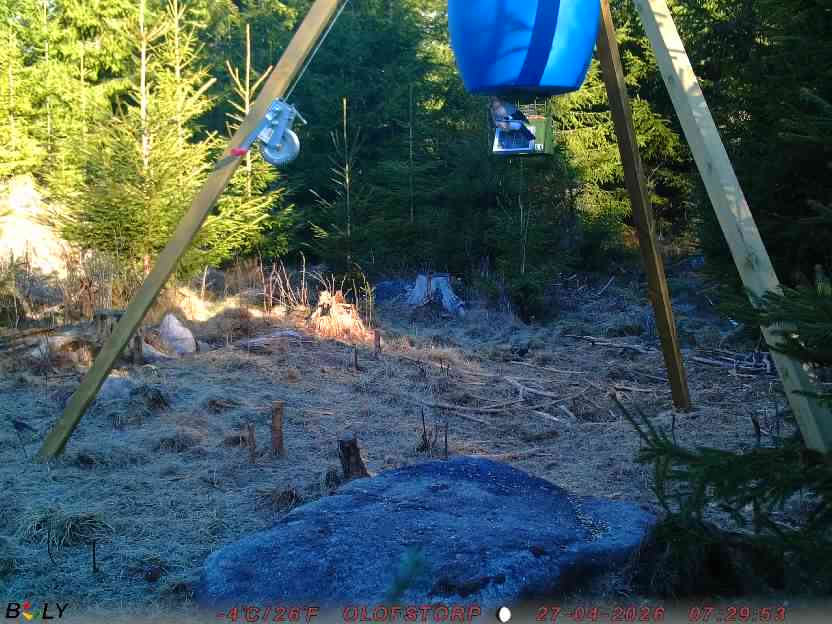 Bild från STORATRÄA
