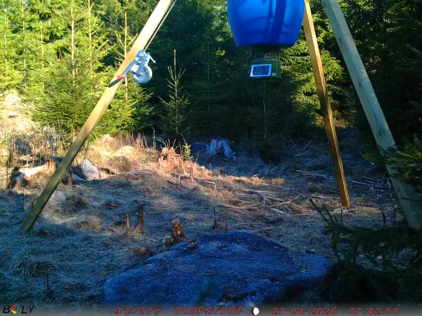 Bild från STORATRÄA