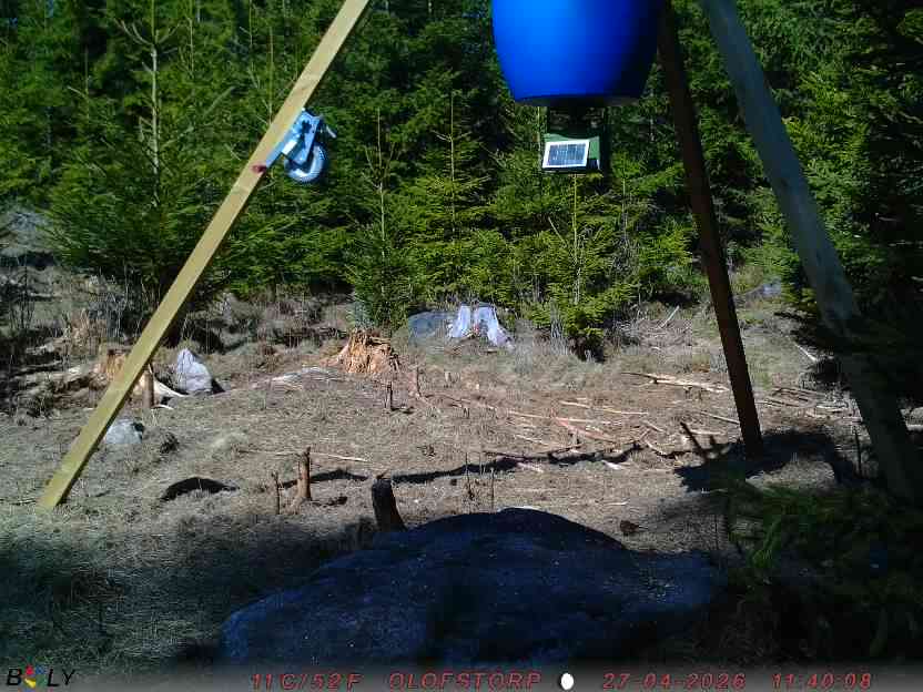 Bild från STORATRÄA