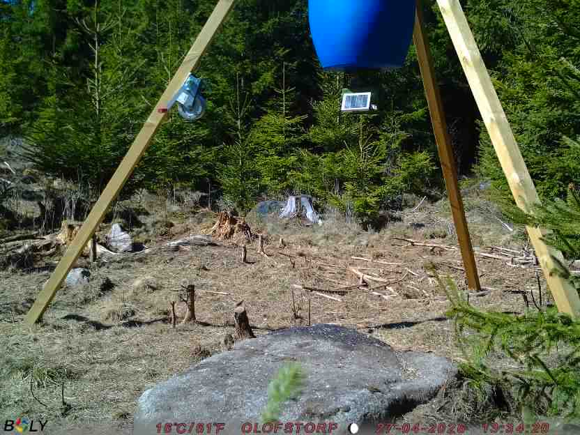 Bild från STORATRÄA