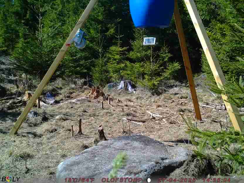 Bild från STORATRÄA