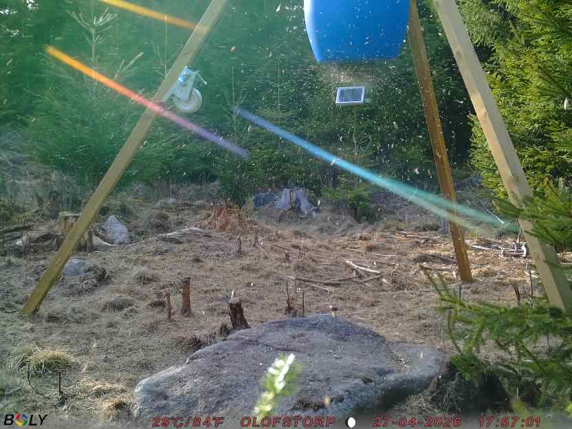 Bild från STORATRÄA