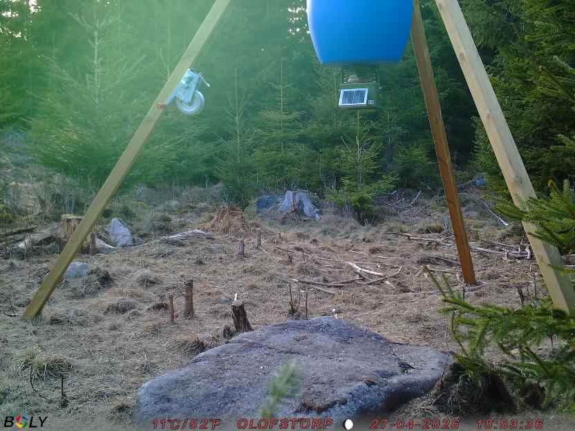 Bild från STORATRÄA