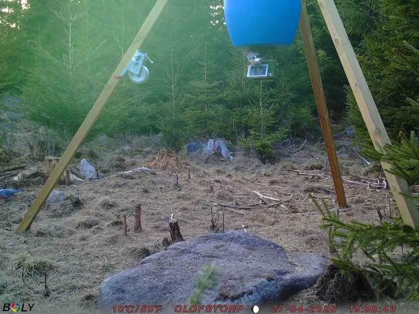 Bild från STORATRÄA