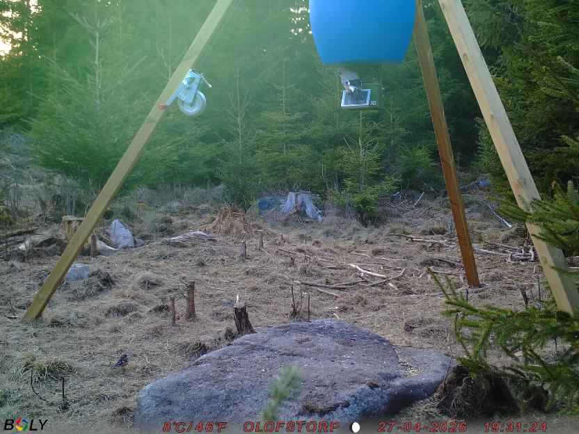 Bild från STORATRÄA