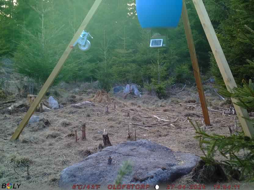 Bild från STORATRÄA